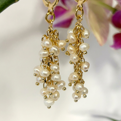 עגילי אניקה זהב Anika Gold Earrings
