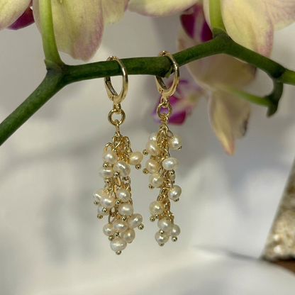 עגילי אניקה זהב Anika Gold Earrings